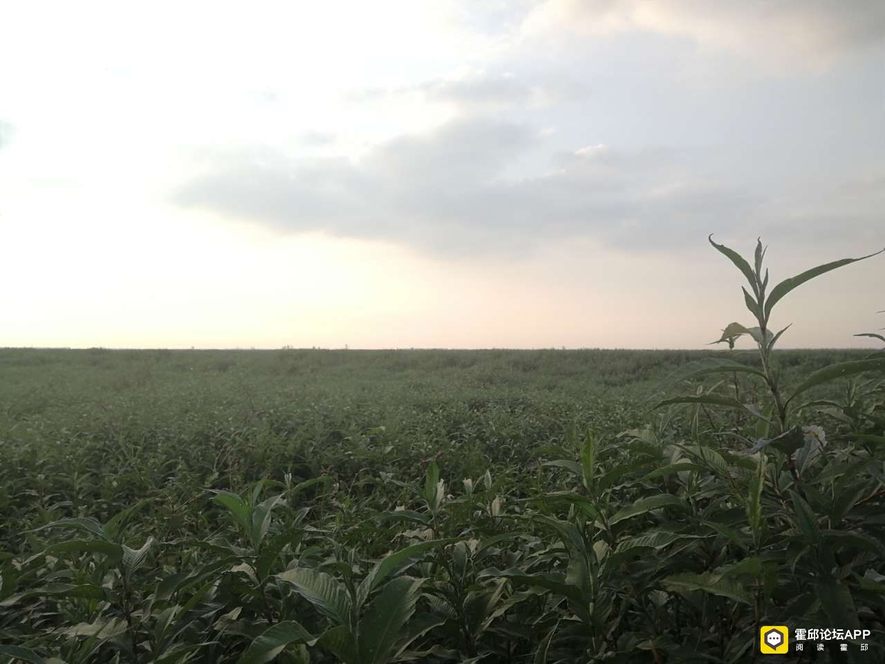 20190904_186004_1567592677778.jpg