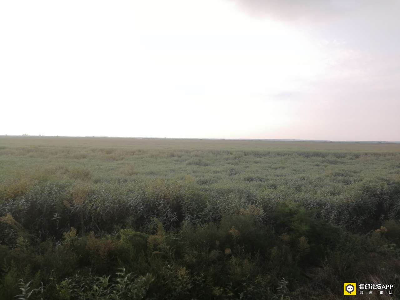 20190904_186004_1567592677372.jpg