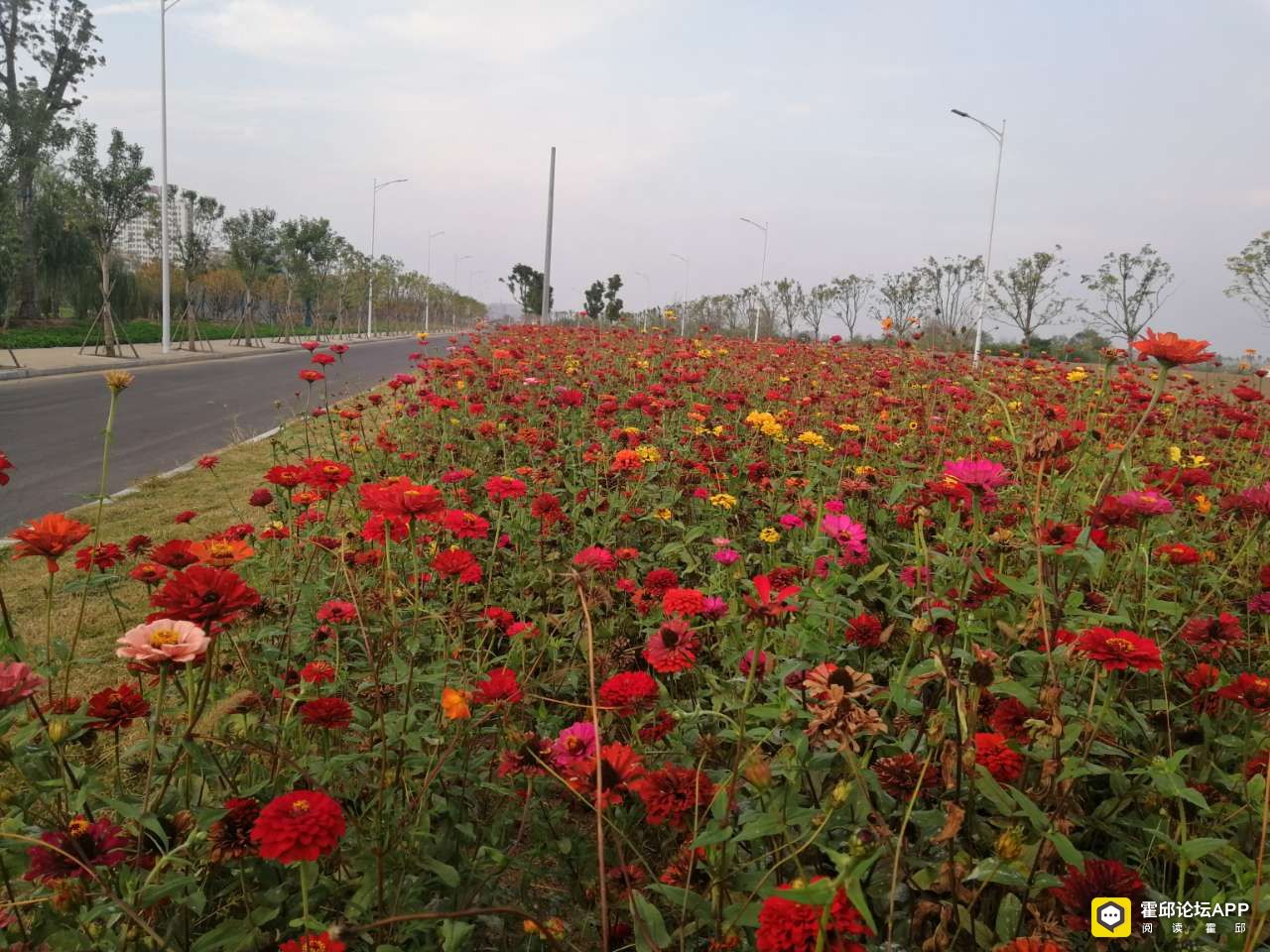 20191112_186004_1573567906856.jpg