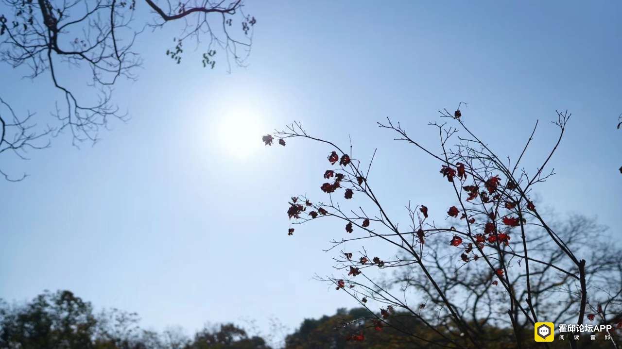 20191208_198175_1575812676963.jpg