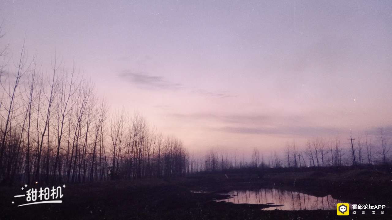 20200310_195937_1583810079137.jpg