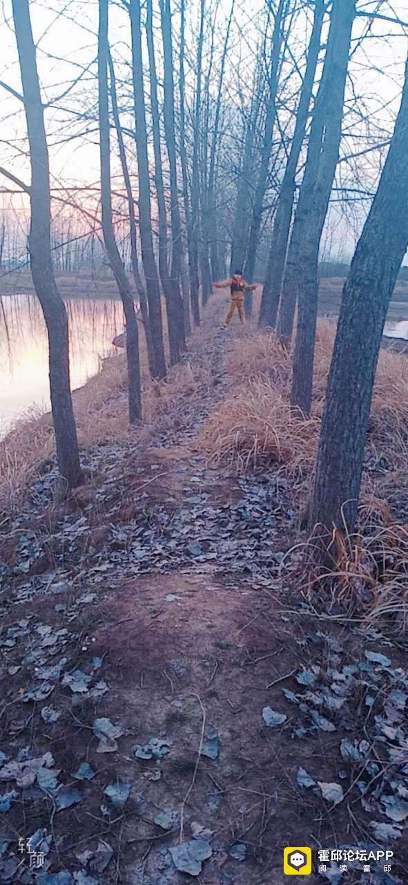 20200310_195937_1583810079779.jpg