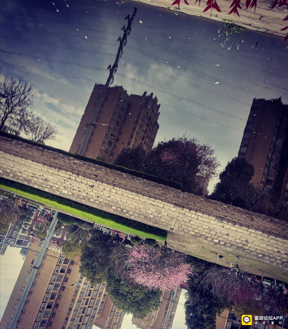 20200320_197950_1584695460928.jpg