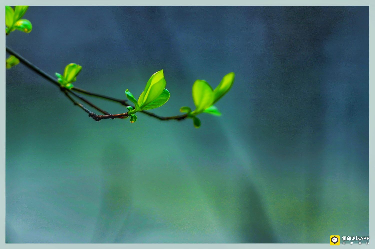 DSC_7176-01.jpeg