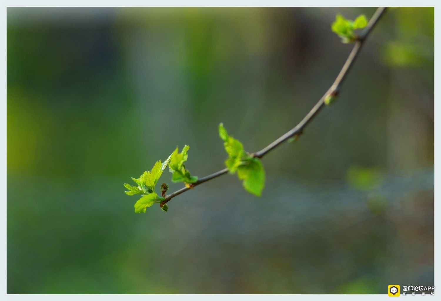 DSC_7588-01.jpeg