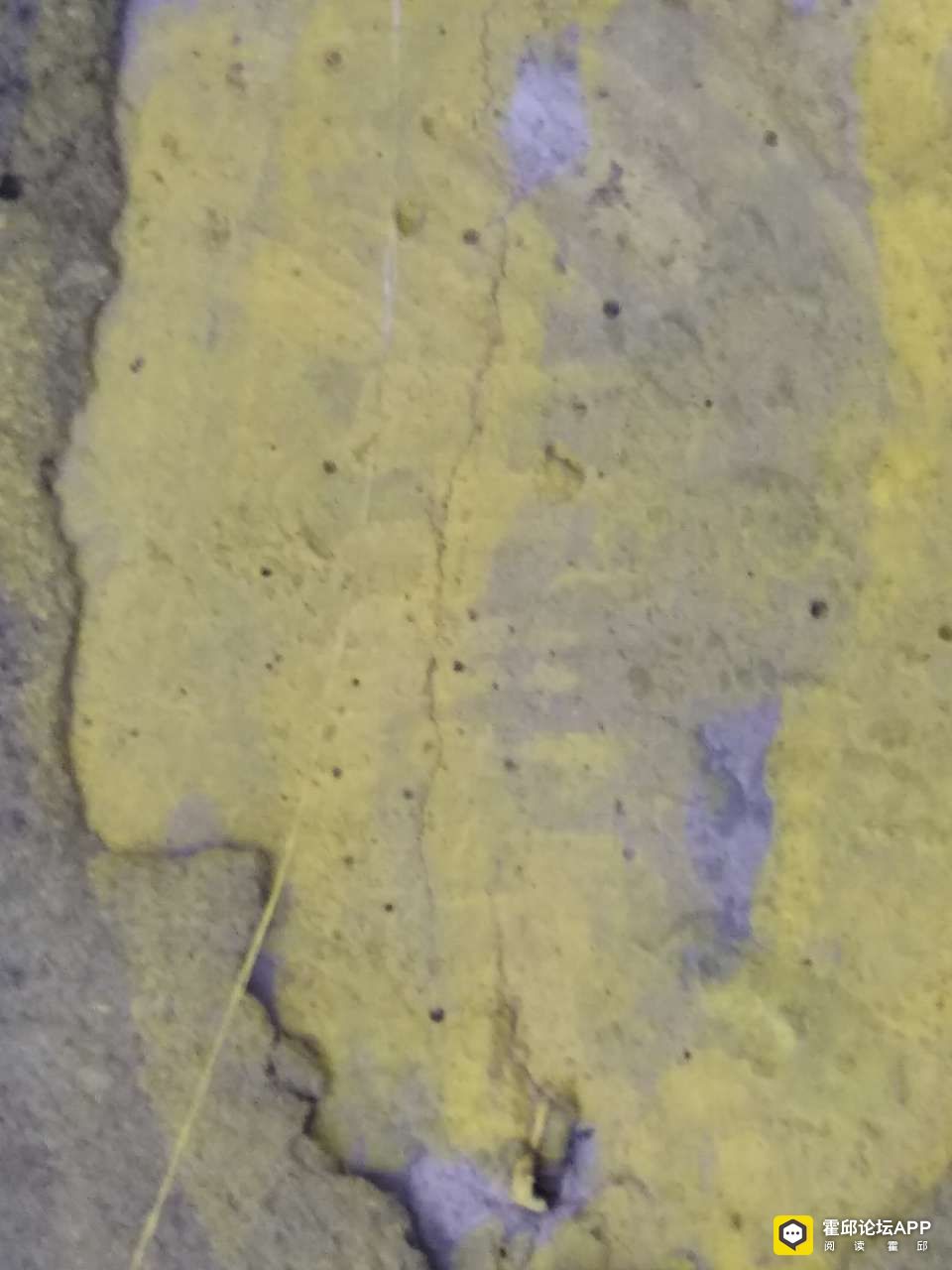 20200617_198016_1592335923696.jpg
