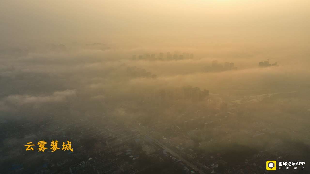20200720_180689_1595232342934.jpg