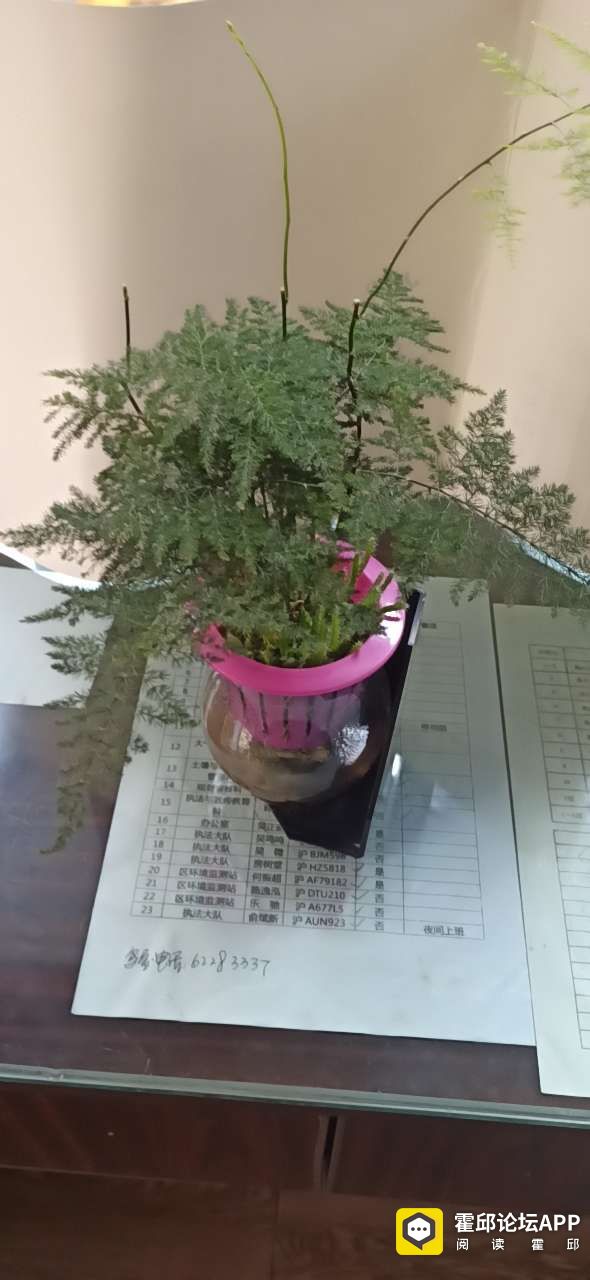 20201108_198175_1604800612873.jpg