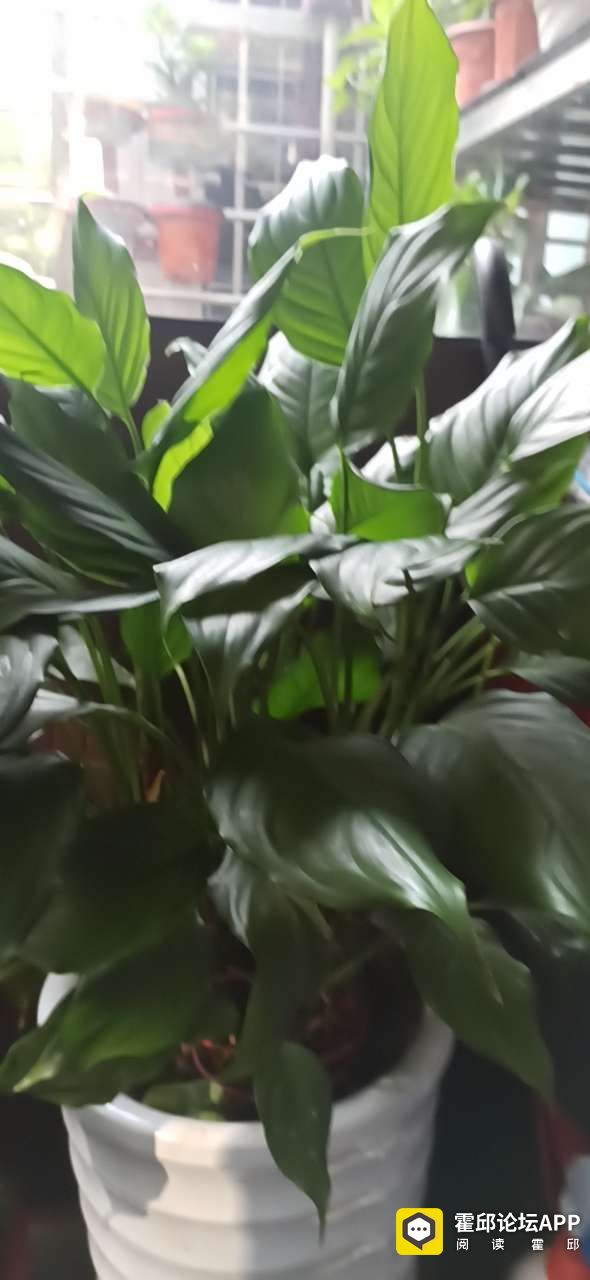 20201108_198175_1604800613089.jpg