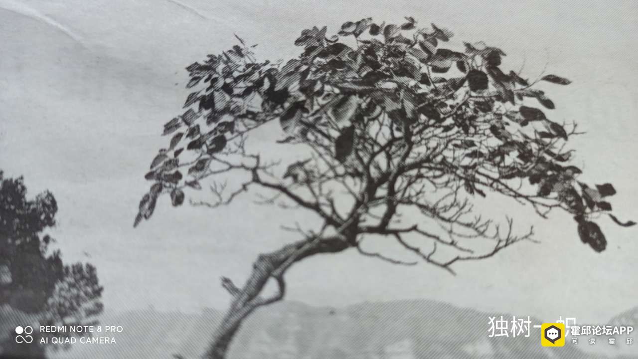 20201117_198175_1605602133750.jpg