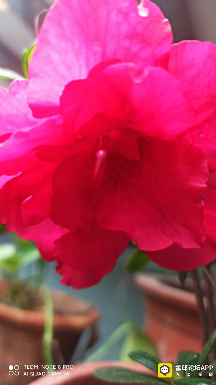 20201205_198175_1607174798148.jpg
