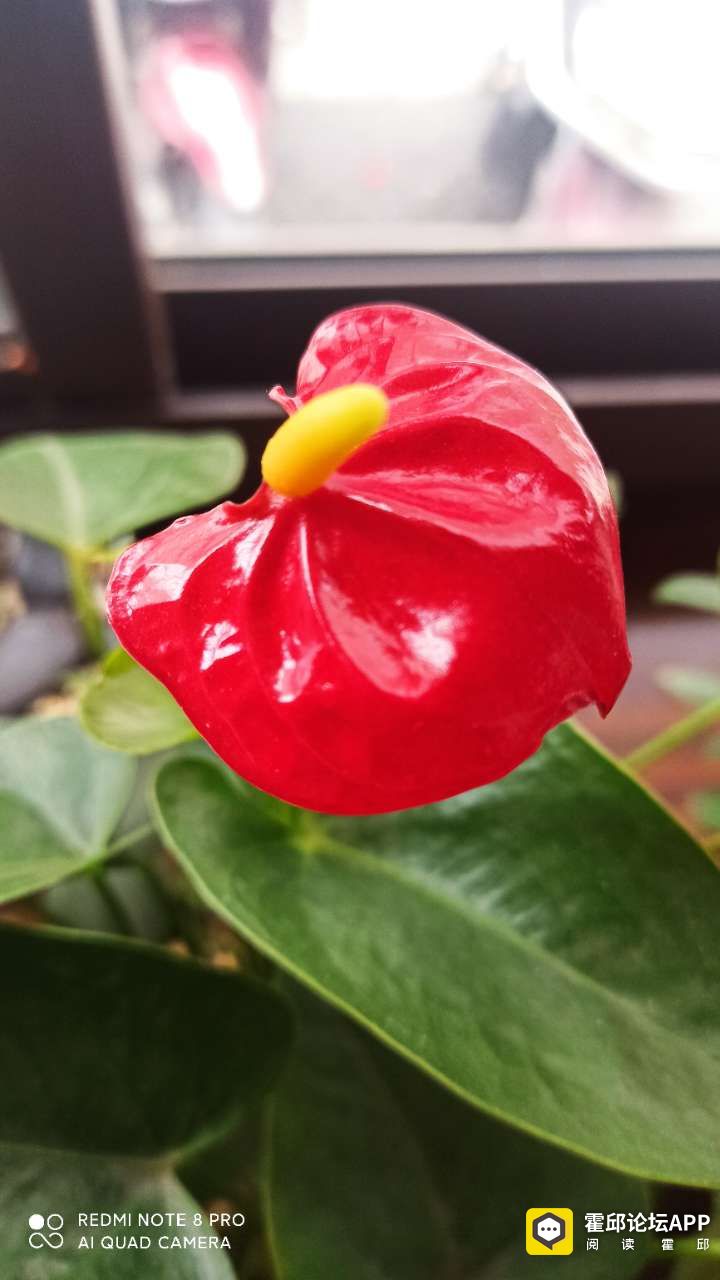 20201205_198175_1607174797925.jpg