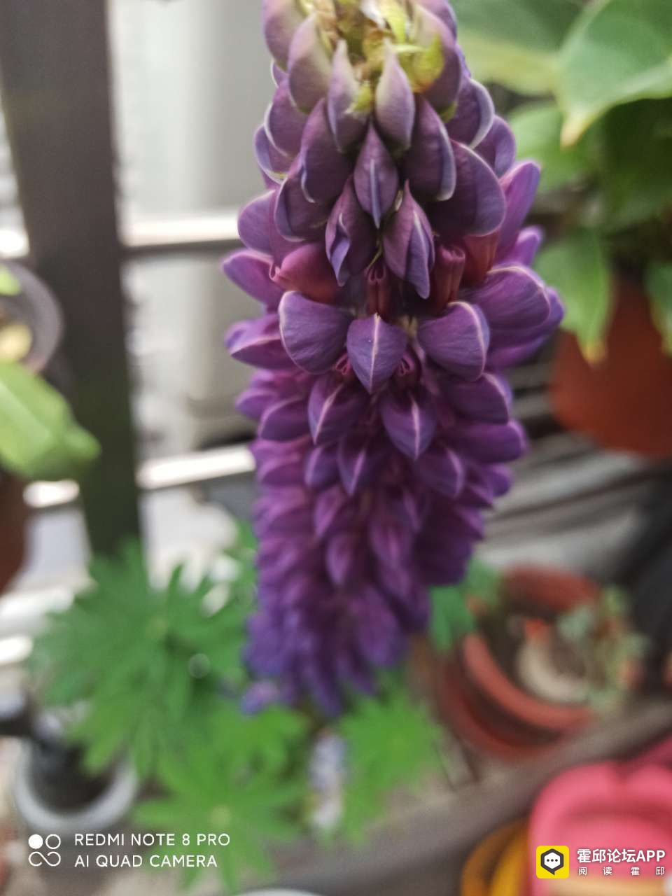 20210405_198175_1617588947737.jpg