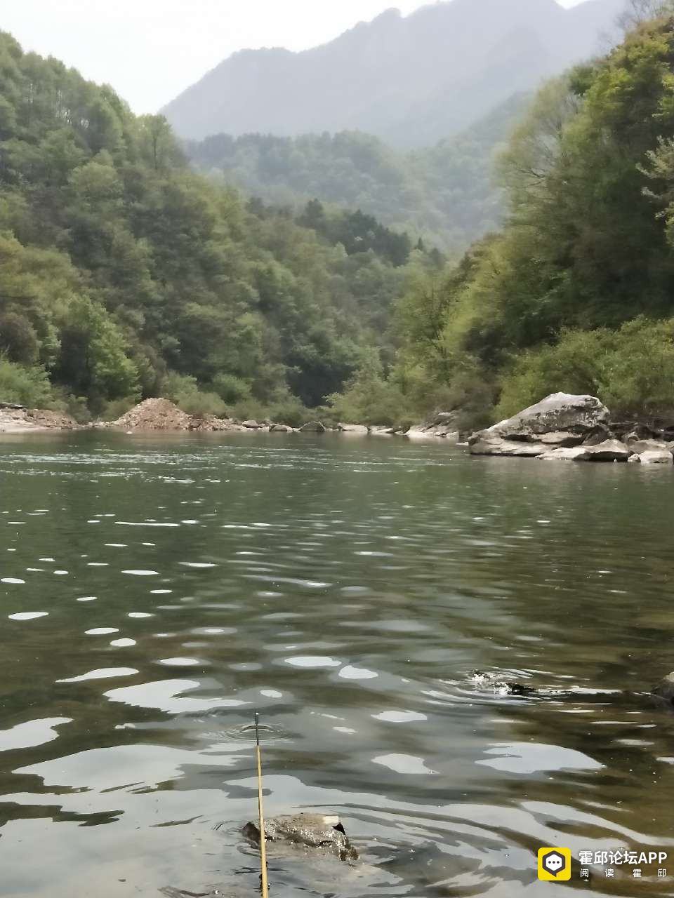 20210418_205160_1618733421471.jpg