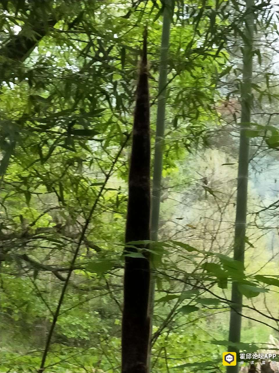 20210418_205160_1618733422680.jpg