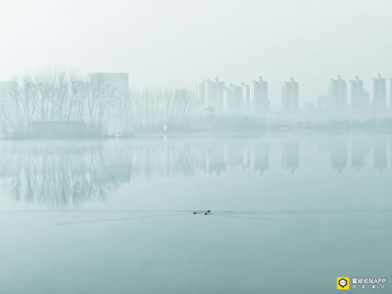 20211225111326front2_0_198706_Fr0UVQgBM4Zw-ixGC29ELL8gLIBE.jpg