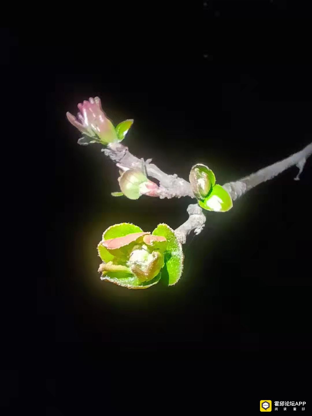 ΢��ͼƬ_20220316170516.jpg