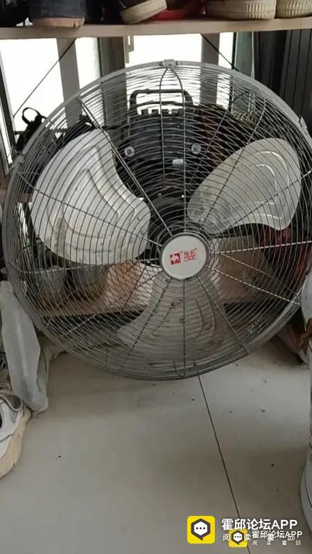180757dvfq0qkd5qa9xqmm.jpeg