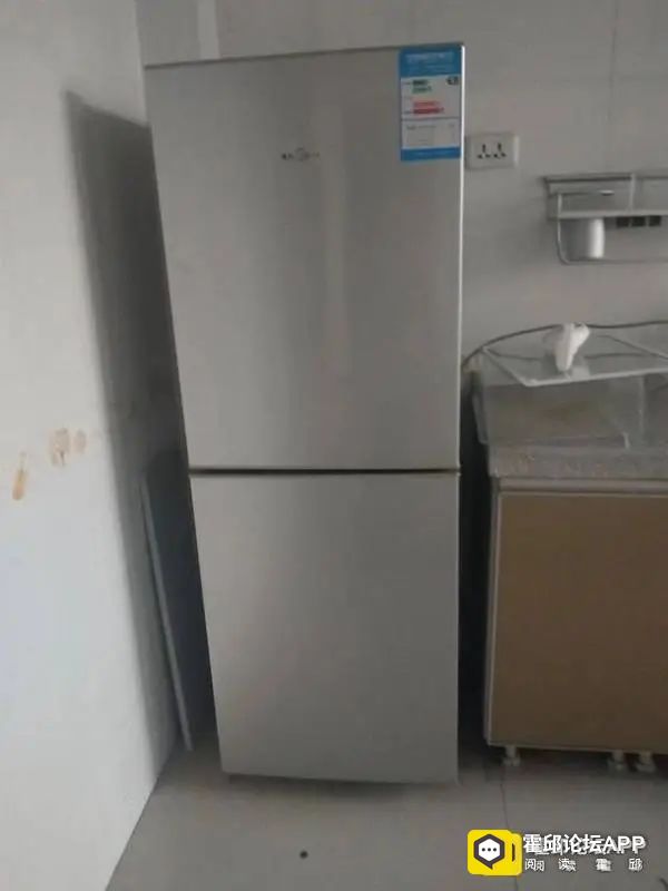 085902zw1vibzhshoimd5h.jpeg