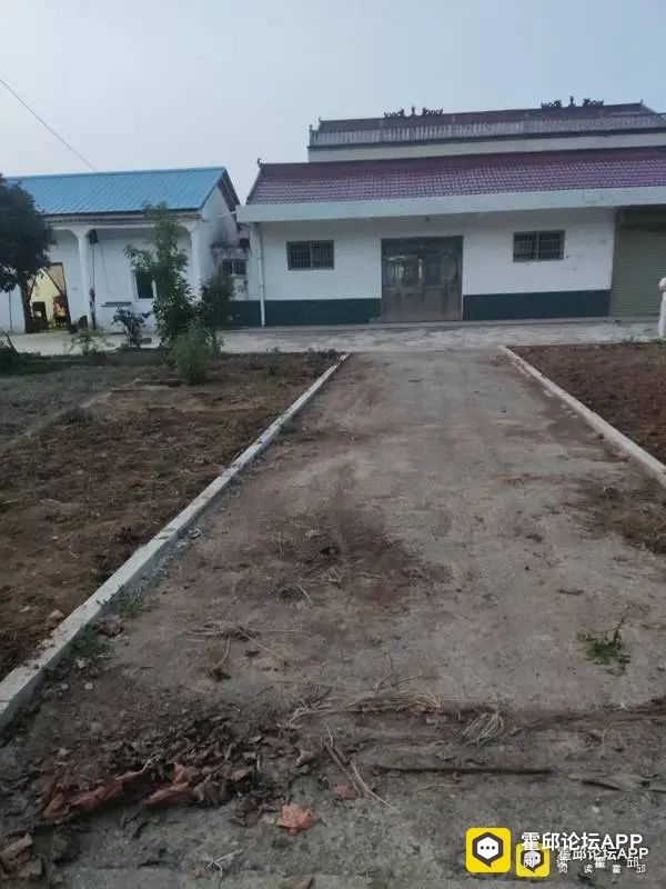 095618ivyvf3syvs0cwiez.jpeg
