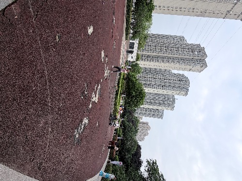 IMG_4240.jpeg