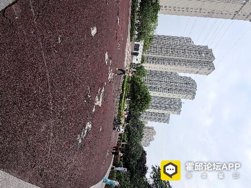 IMG_4240.jpeg