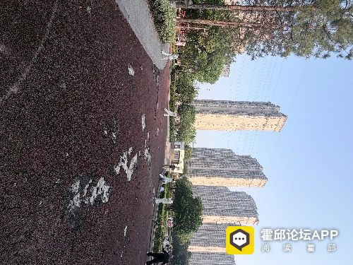 IMG_4311.jpeg