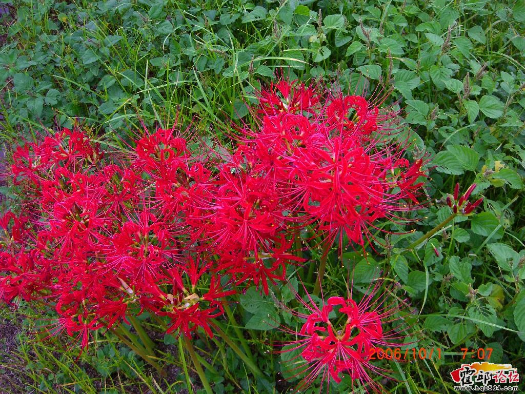 ruibuo1003_1160039376161317.jpg