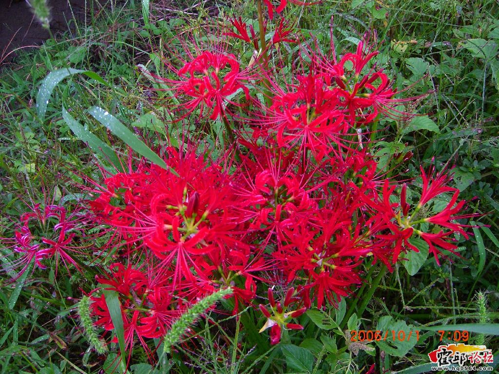ruibuo1003_1160039499846442.jpg