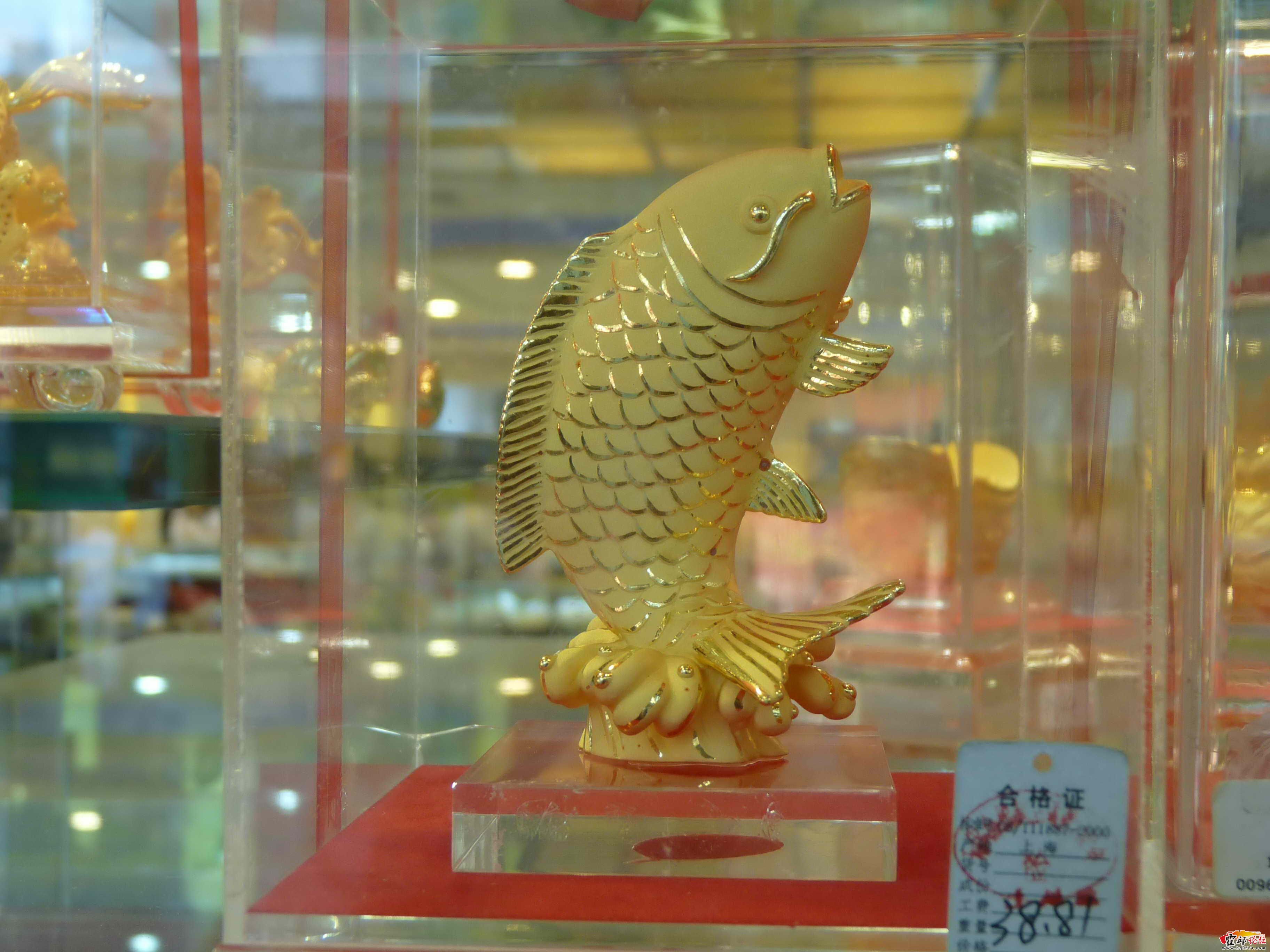 P1050450.jpg