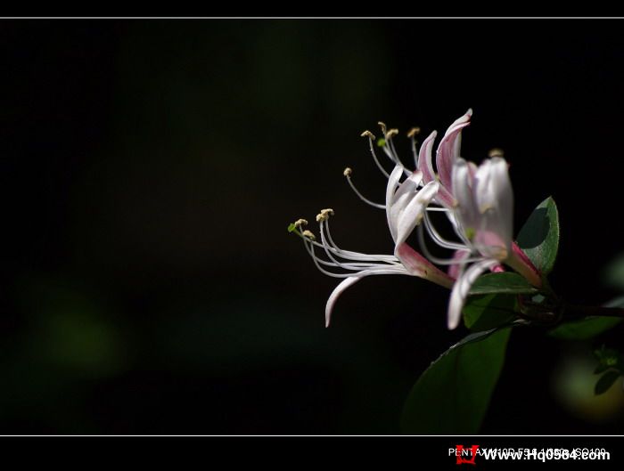 IMGP2661.JPG
