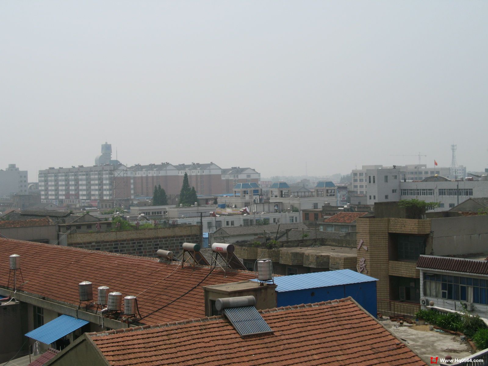 IMG_2342.JPG