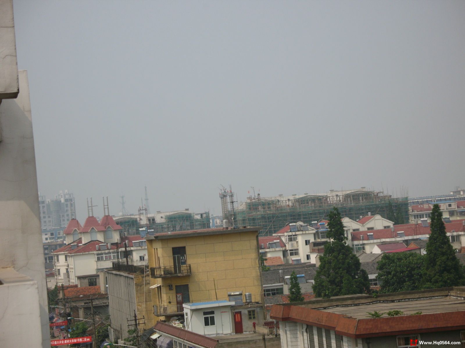IMG_2353.JPG