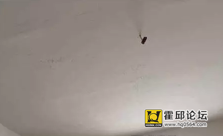 QQͼƬ20151103102017.png