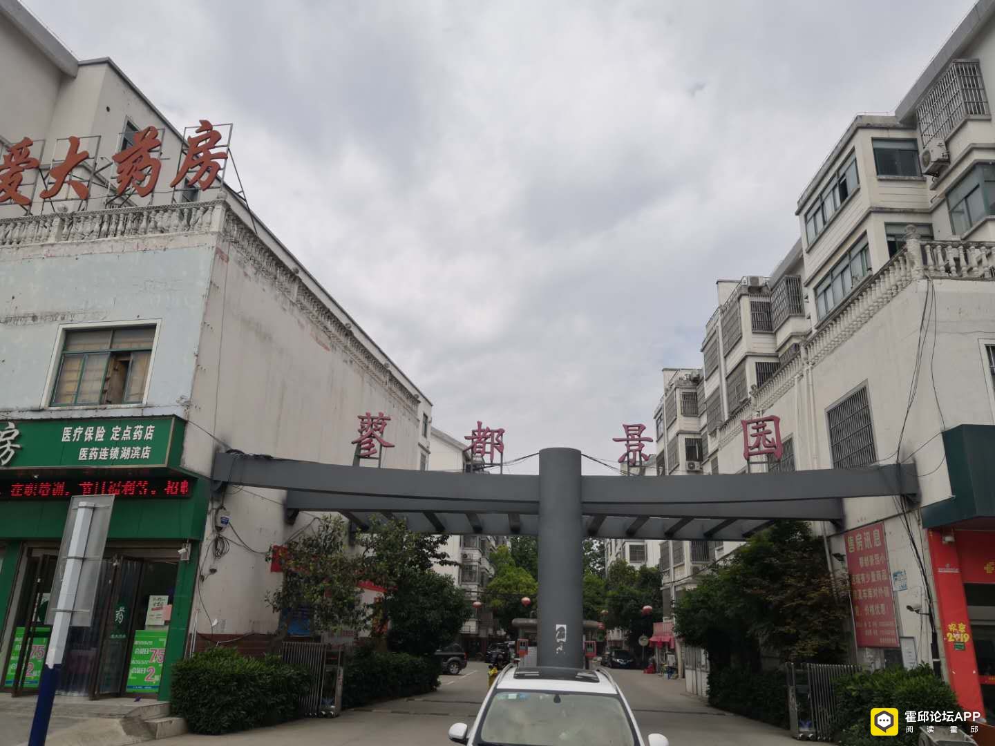 ޤ԰FY-19-1181(7).jpg