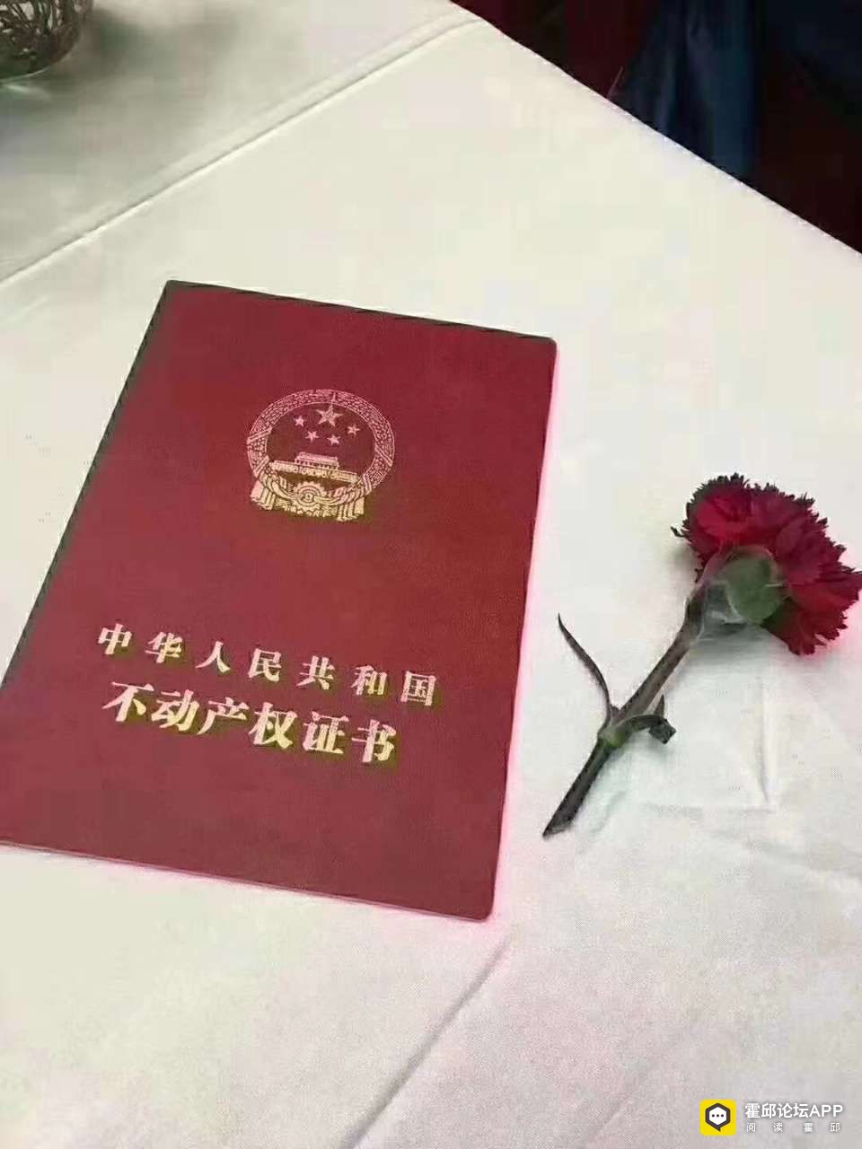 20191128_194575_1574902500727.jpg