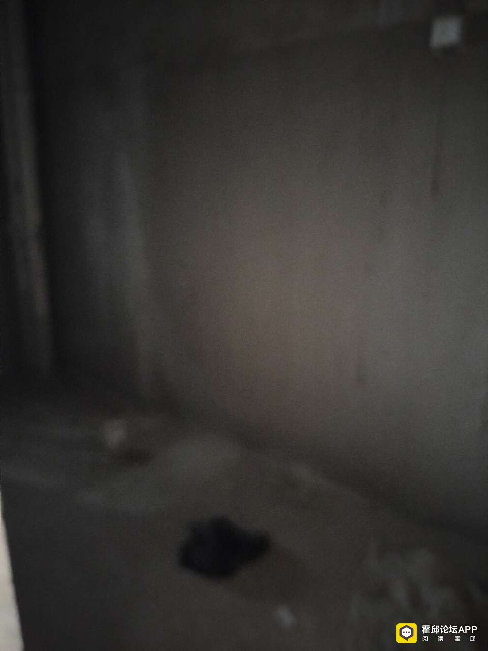 20220512095624front2_0_206960_FqKOkI_7YiBfmQ2L3Aw2VjKU4dZj.jpg
