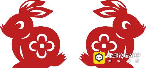 084740ruxth51hfv44tyf6.png