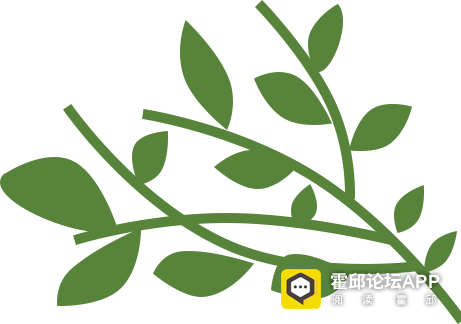 163558om91i9u2jizuuo2v.png