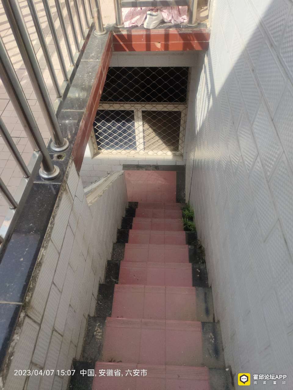 20230409_204942_1681027467126.jpg