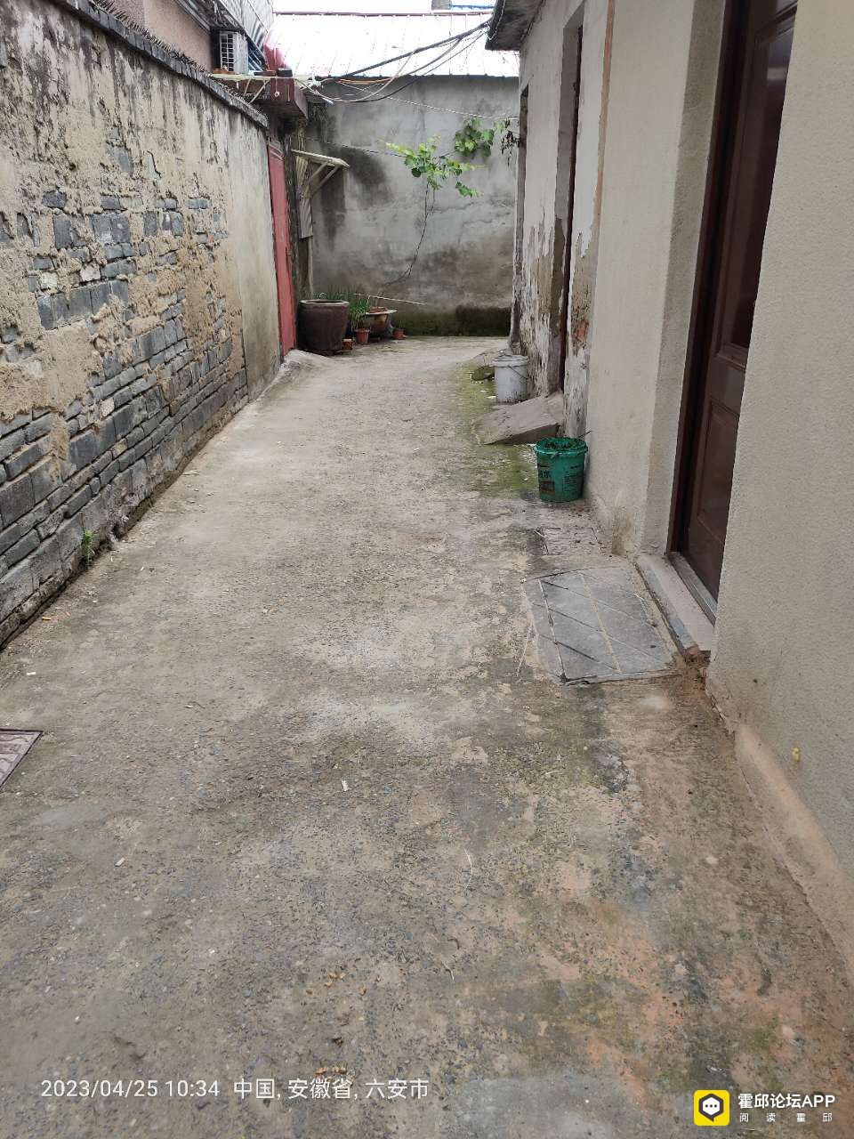 20230425_204942_1682402959435.jpg