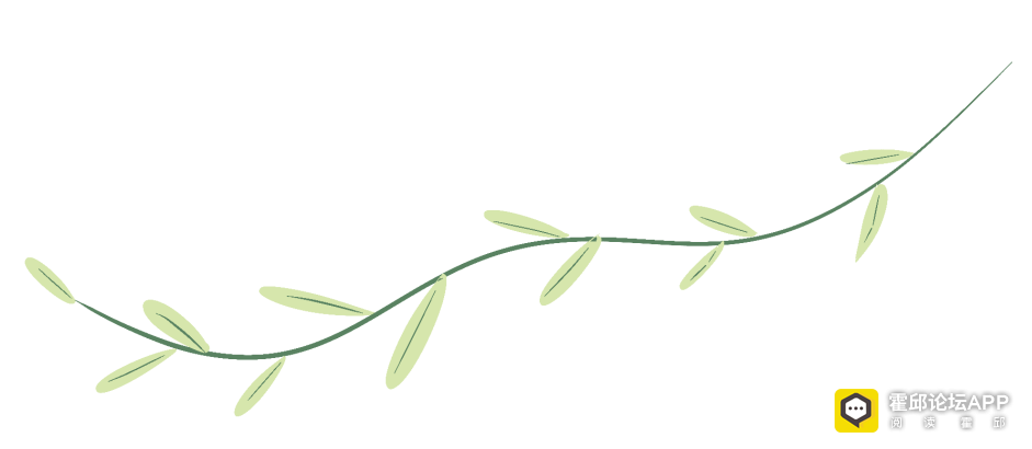 092450v1urlxe0cobc2rc7.png