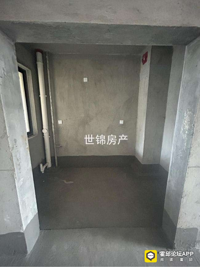 20230805144814front2_0_204942_FspAYIh_OQtDXHtY_E04yUShDEOd.png