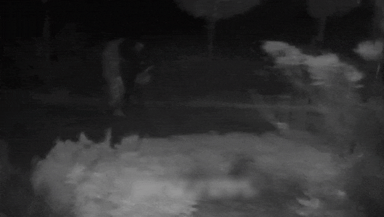 084113iw1qw9r9w91pwqwo.gif