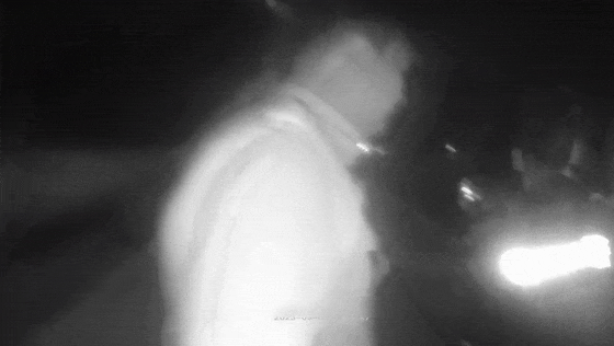 084114djj6jk4h00vkjvj7.gif
