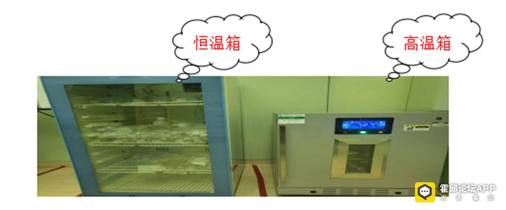 144718f81xu46quyfi44jx.png