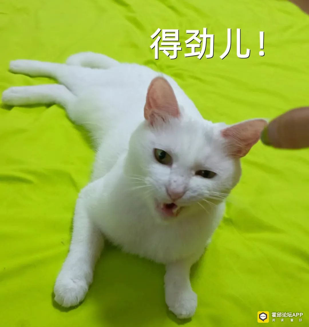 093041il7nhvb9heufnnq3.jpeg