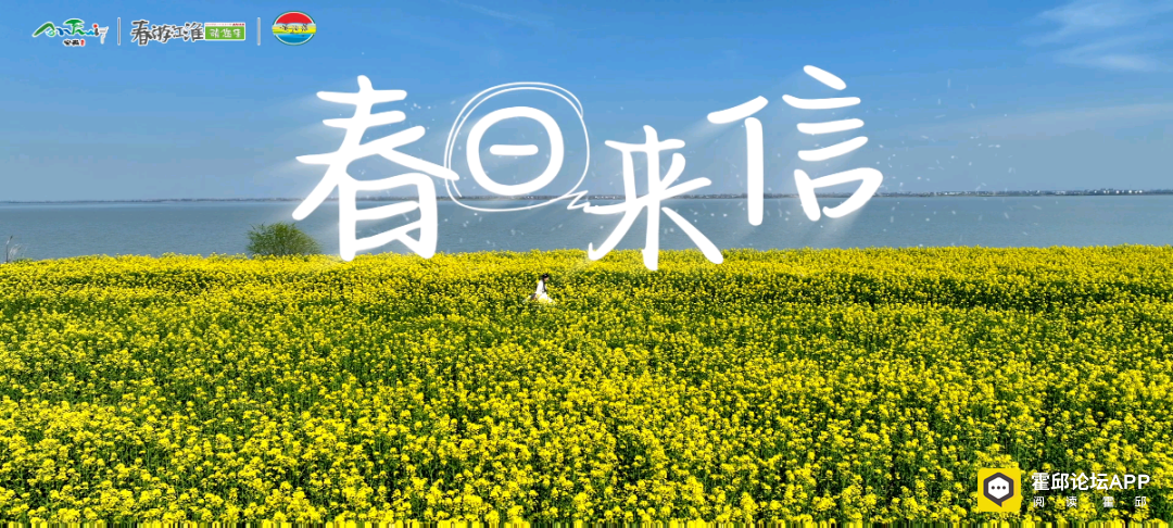 102237ldwxw4sopw7pmkk1.png