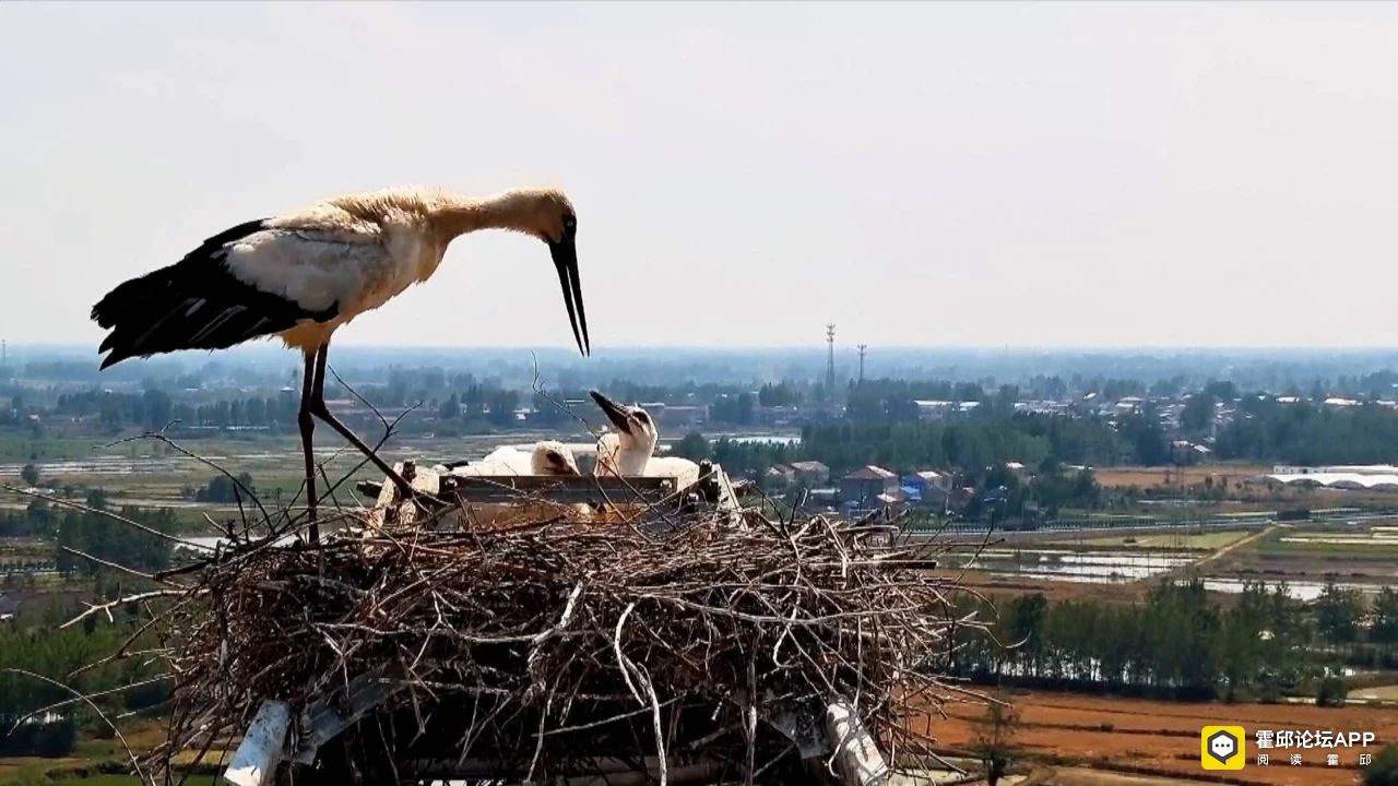 ΢ͼƬ_20250526085706.jpg