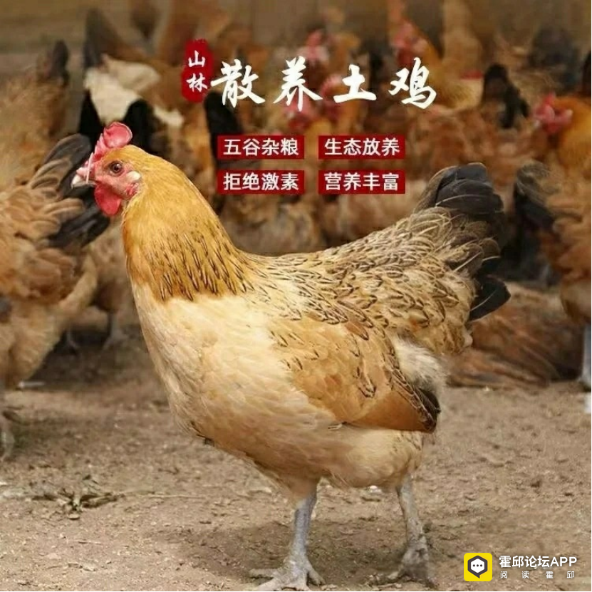 ΢ͼƬ_20250813084548.png